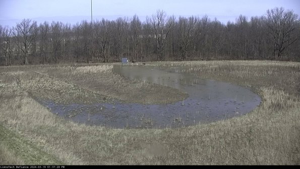 Cell 4_24-03-19_13-37-29-16