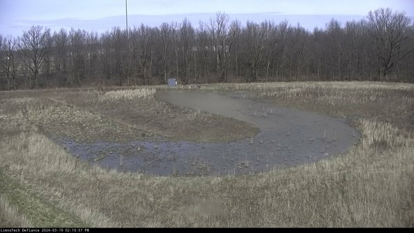 Cell 4_24-03-19_14-10-58-15