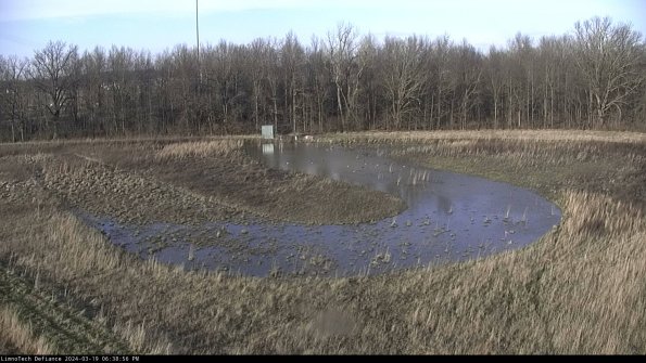 Cell 4_24-03-19_18-38-57-16