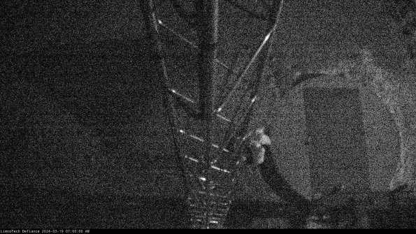 Hatch_24-03-19_07-00-01-13