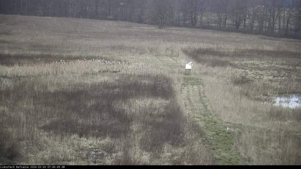 Cell 1 to 2_24-03-20_07-44-49-63