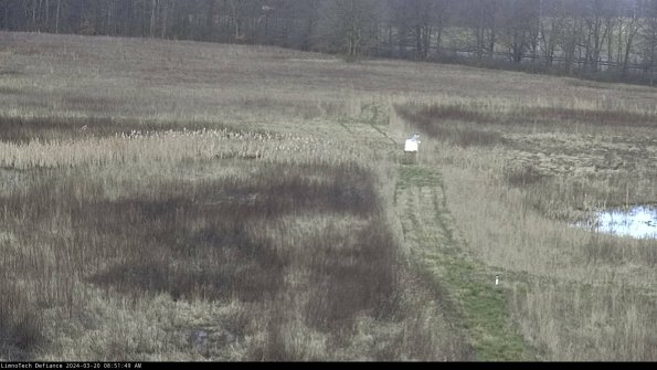 Cell 1 to 2_24-03-20_08-51-49-63