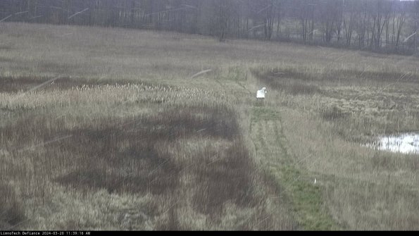 Cell 1 to 2_24-03-20_11-39-16-63