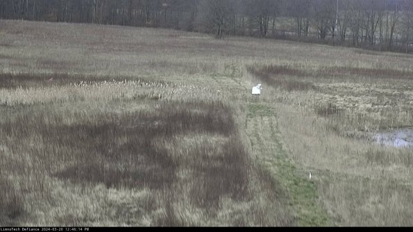 Cell 1 to 2_24-03-20_12-46-14-63