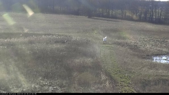 Cell 1 to 2_24-03-20_18-21-06-62