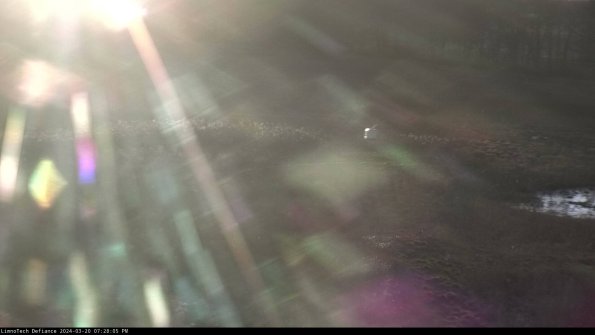 Cell 1 to 2_24-03-20_19-28-05-65