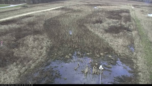 Cell 1_24-03-20_08-51-35-65