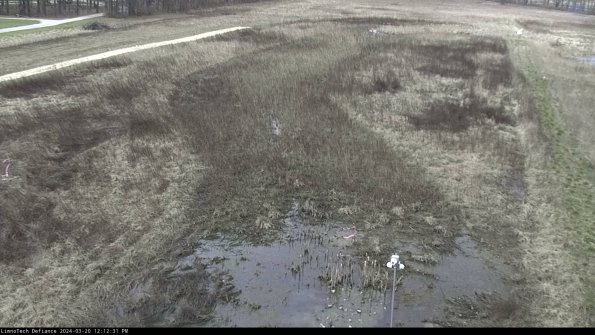 Cell 1_24-03-20_12-12-31-63