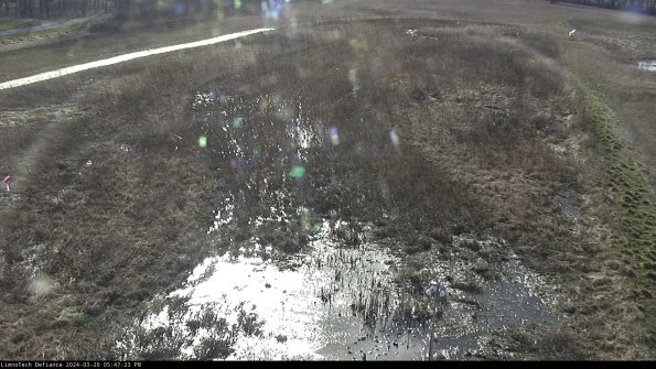 Cell 1_24-03-20_17-47-23-62