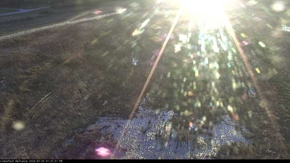 Cell 1_24-03-20_19-27-51-63