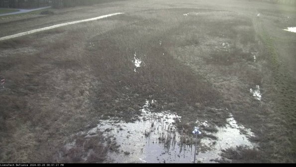 Cell 1_24-03-20_20-01-21-61