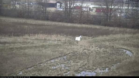 Cell 2 to 3_24-03-20_07-45-15-75