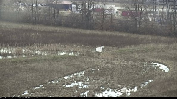 Cell 2 to 3_24-03-20_08-18-45-77