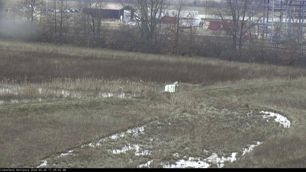 Cell 2 to 3_24-03-20_11-39-42-72