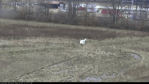 Cell 2 to 3_24-03-20_12-13-11-84