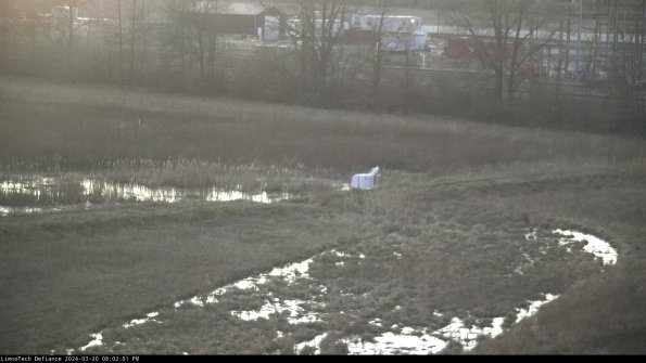 Cell 2 to 3_24-03-20_20-02-01-72