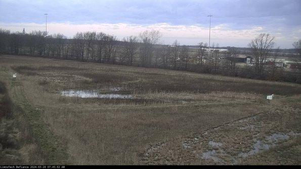 Cell 2_24-03-20_07-45-02-64