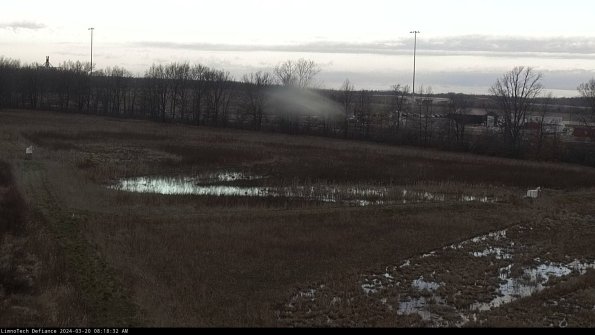 Cell 2_24-03-20_08-18-32-66