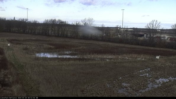 Cell 2_24-03-20_08-52-02-64