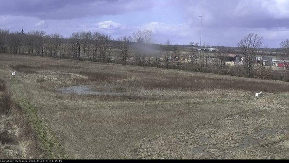 Cell 2_24-03-20_13-19-55-65