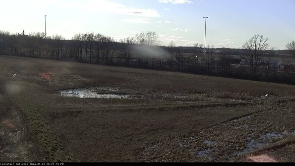 Cell 2_24-03-20_18-21-19-66