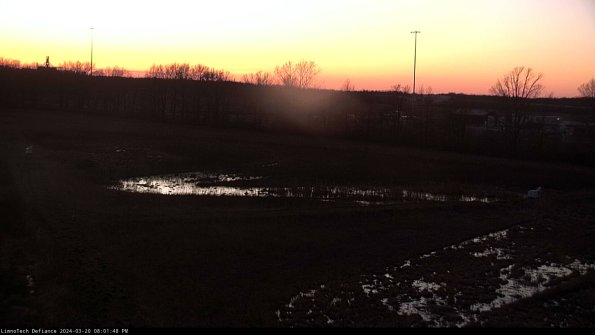 Cell 2_24-03-20_20-01-48-67