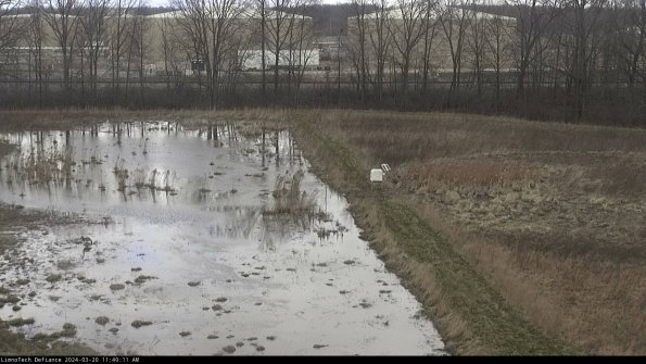 Cell 3 to 4_24-03-20_11-40-11-62