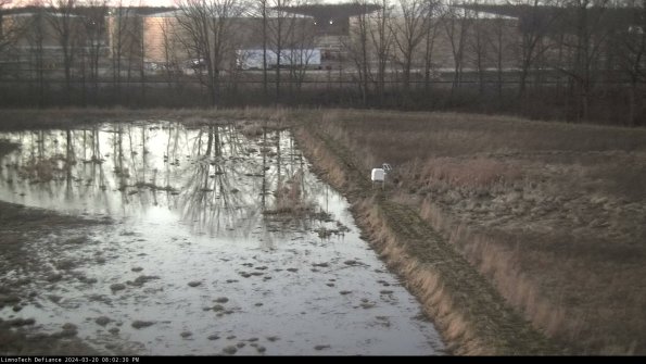 Cell 3 to 4_24-03-20_20-02-30-62