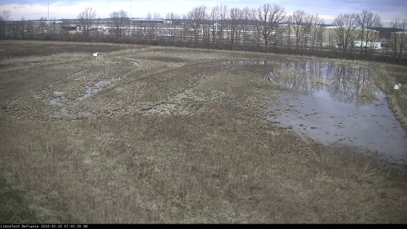 Cell 3_24-03-20_07-45-30-60