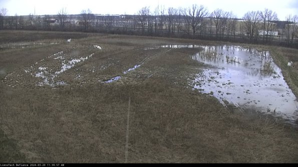 Cell 3_24-03-20_11-39-57-64