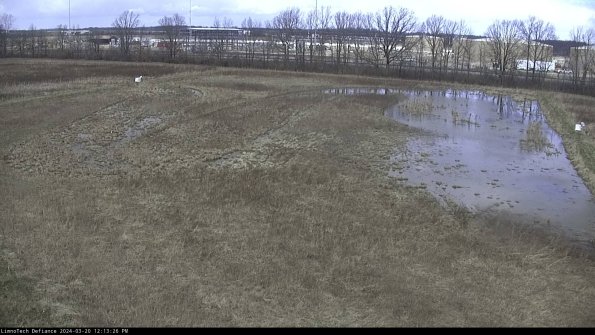 Cell 3_24-03-20_12-13-26-62