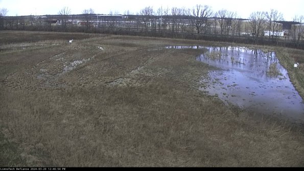 Cell 3_24-03-20_12-46-54-90