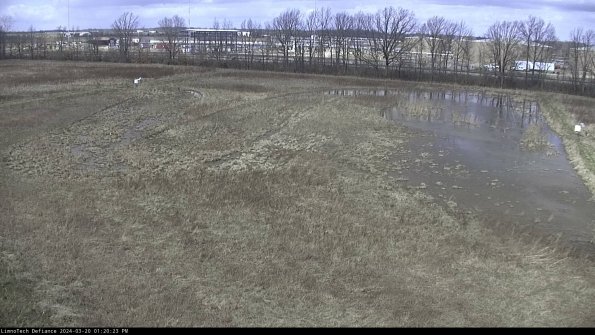 Cell 3_24-03-20_13-20-23-61