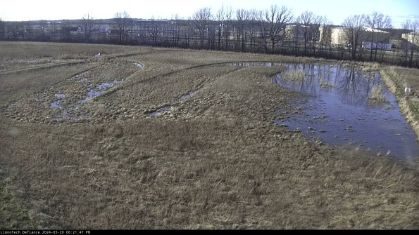 Cell 3_24-03-20_18-21-47-62