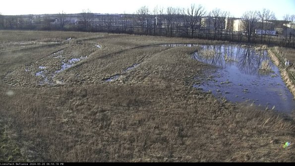 Cell 3_24-03-20_18-55-16-84