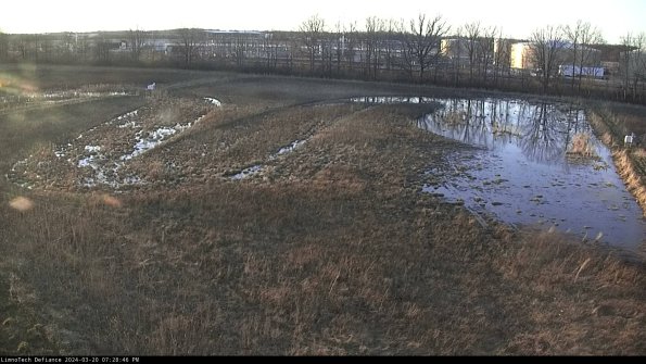 Cell 3_24-03-20_19-28-46-62