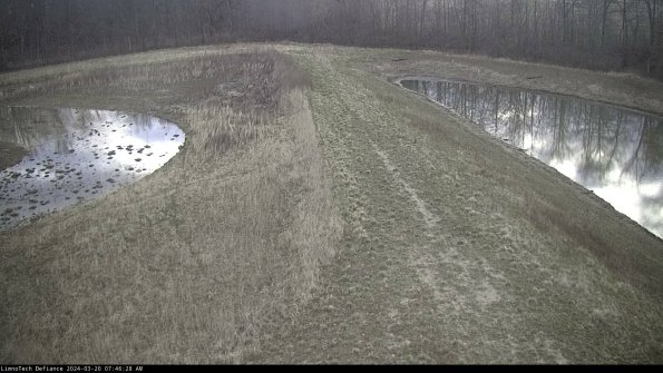 Cell 4 to Basin_24-03-20_07-46-28-66