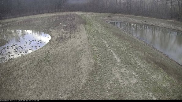 Cell 4 to Basin_24-03-20_08-19-58-64