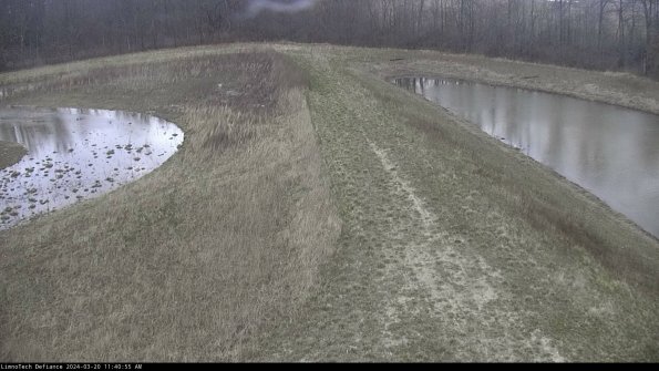 Cell 4 to Basin_24-03-20_11-40-55-63