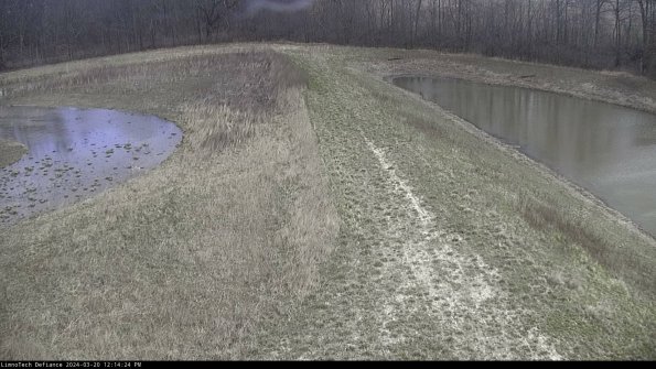 Cell 4 to Basin_24-03-20_12-14-24-61