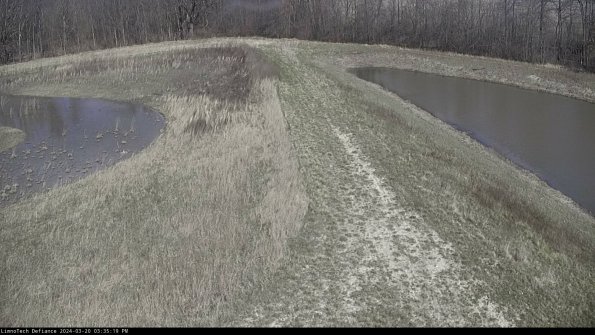 Cell 4 to Basin_24-03-20_15-35-19-64