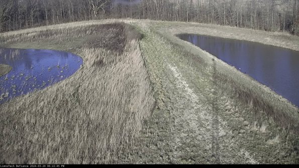 Cell 4 to Basin_24-03-20_18-22-45-65