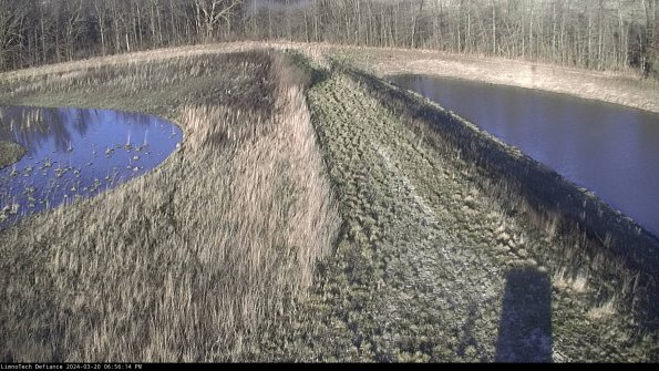 Cell 4 to Basin_24-03-20_18-56-14-66