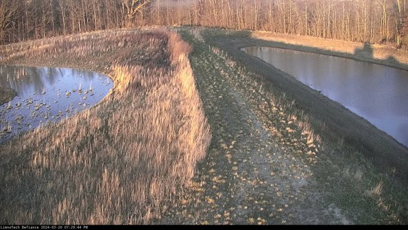 Cell 4 to Basin_24-03-20_19-29-44-65