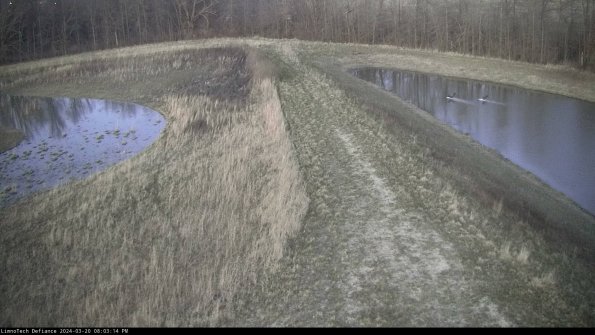 Cell 4 to Basin_24-03-20_20-03-14-63