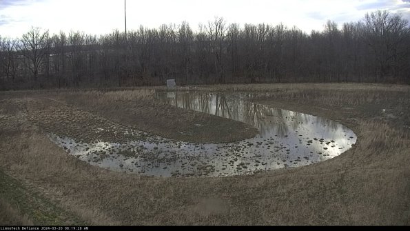 Cell 4_24-03-20_08-19-28-65