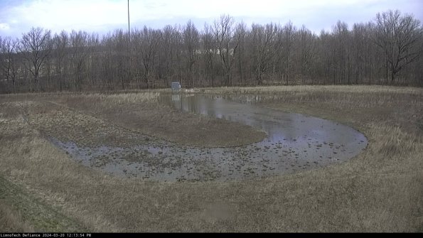 Cell 4_24-03-20_12-13-54-61