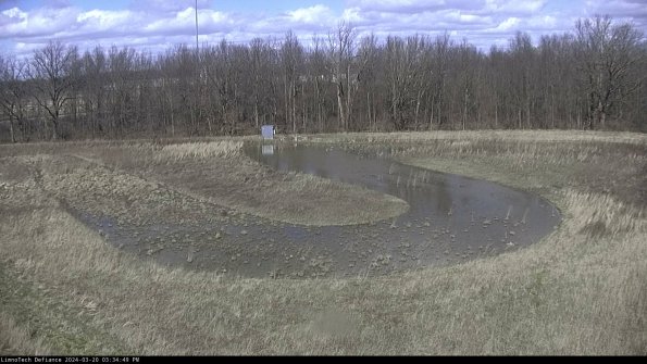 Cell 4_24-03-20_15-34-49-64