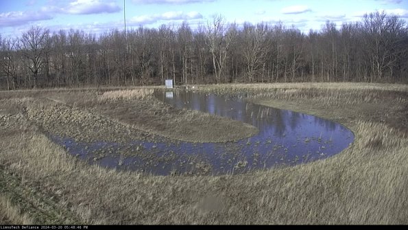 Cell 4_24-03-20_17-48-46-64