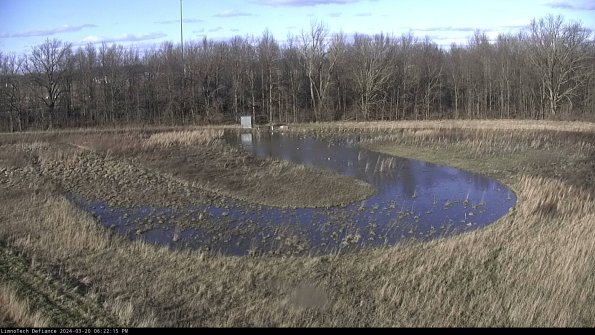 Cell 4_24-03-20_18-22-15-62